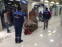 Выставка динозавров Выставка динозавров
