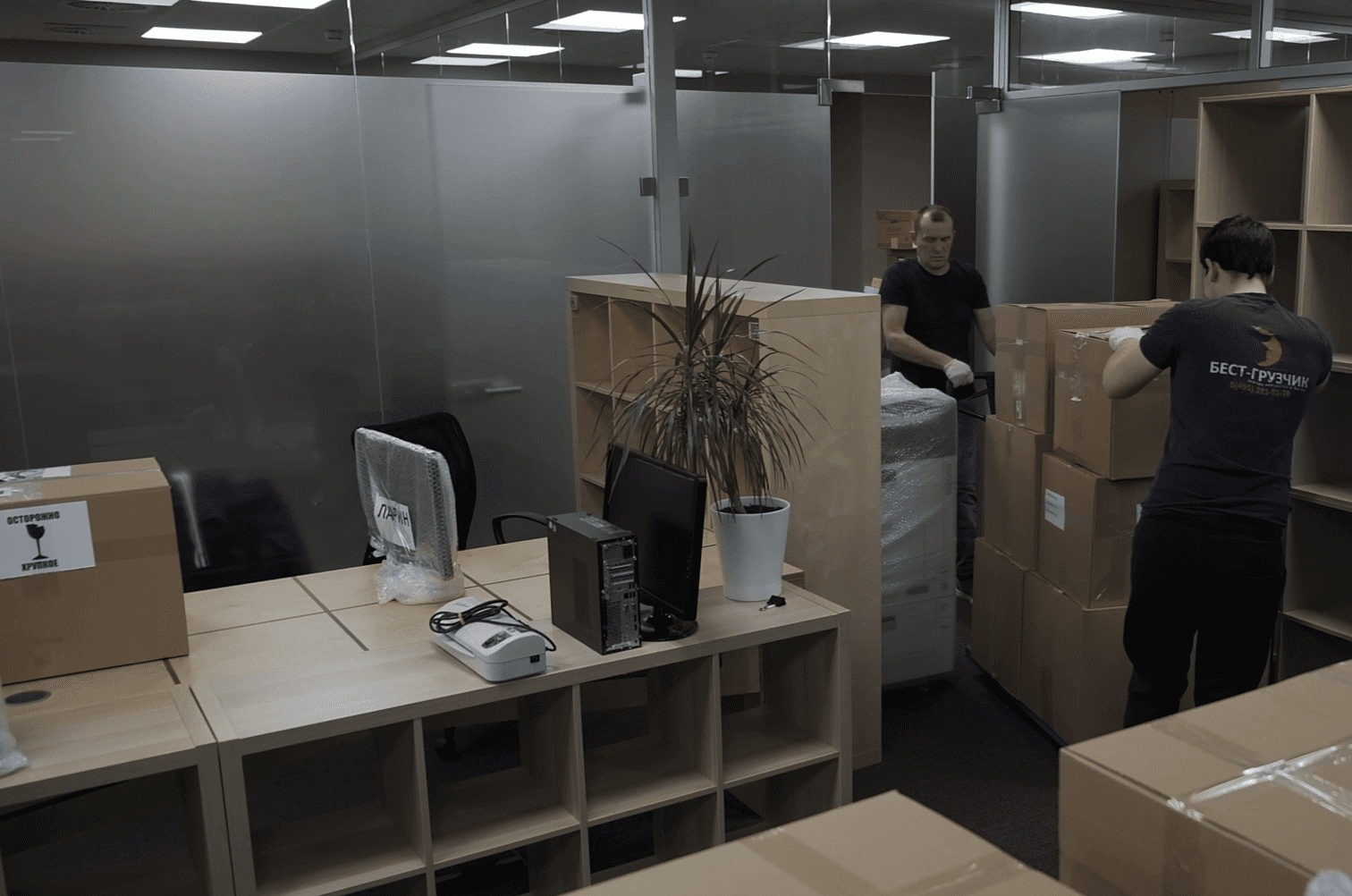 Офисные грузчики с оплатой за час